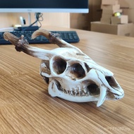 Ornament Party Skull Simulation Goat Bar Decorations Gothic Style Viking Study Three-dimensional Des