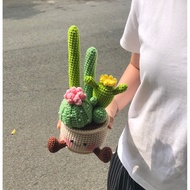 Cactus pot (wool)