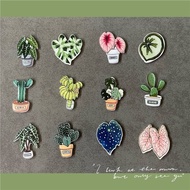 Monstera Cactus Begonia Refrigerator Sticker Cloud Plant Magnetic Tiles Green Plants Gifts For Kids 