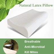 Thai Pure Latex Pillow / Pillow