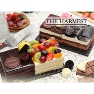 Unik HARVEST CAKE Diskon