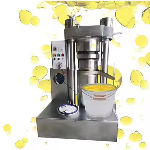 High Oil Yield Avocado Oil Machine Automatic Avocado Oil Press Machine Cold Press Extractor