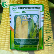 Benih Jagung Manis PRIMA 250 gram Unggul Cap Permata Hijau