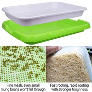 Bean Sprout Hydroponic Tray Sprouting Germination Plate Seedling Growing Tray Home