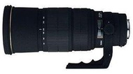 彩色鳥 (相機出租**鏡頭出租) SIGMA APO 120-300mm f2.8 EX DG (望遠鏡頭/寫真人像/生態飛禽皆宜)