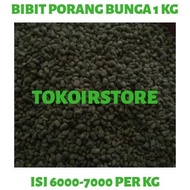 Bibit biji bunga porang isi 6. sampai 8. per kg Bibit biji bunga