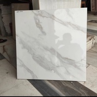 granit lantai 60x60 murah arna Alexa white granite