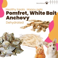 Cat Treats, Dog Treats, Fish Jerky, Anchovy, Mini pomfret, 40g white bait, dental chew