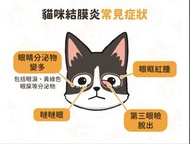 寵物用 貓 狗 消炎 眼水 眼藥水 眼腫 眼紅 發炎 眼瞼炎 眼簾炎 眼皮炎 台灣製