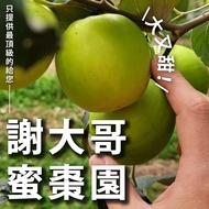 【謝大哥蜜棗園】頂級爆漿蜜棗 任選(3台斤/5台斤)