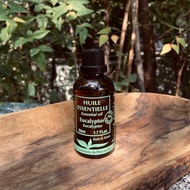 尤加利單方精油 Eucalyptus