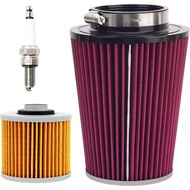 Road Passion 1S3-14451-00-00 Motorcycle Air Filter + Oil Filter Compatible with Yamaha YFM700R Rapto