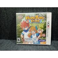 Hometown Story Nintendo 3DS Game US Version (Brand New)