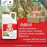 (ยกลัง5L*4)ปุ๋ยน้ำ 6-24-6 (แกลลอน 5 ลิตร) สูตรไม้ดอก บำรุงดอก เร่งออกดอก ดอกสวย-ใหญ่ (1ลังมี4แกลอน) 