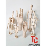 Mô Hình Người Gỗ - Bàn Tay Gỗ Mỹ Thuật Kuelox