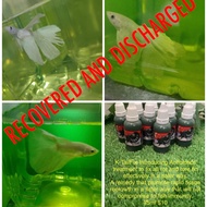 KTeam Betta Fish Fin Tore Rot Treatment Grow in Tail Tailfix