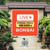 BMC LIVE STREAMING PRICE RM6000 ABOVE LIVE ONLY (BONSAI)