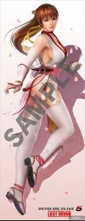 Dead of alive 5 掛畫 絕版 生死格鬥 （全新）