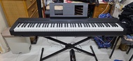 (包腳踏,琴架,琴袋) Yamaha Digital Piano P45 電子琴