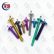 TS M4X8-35mm UFO Butterfly Head Inner Torx 64 Titanium Alloy Screw M4 High-Strength Titanium Alloy S