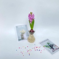 Aquatic Fairy Root, hyacinth, pleasant fragrance, big beautiful flowers-81-82