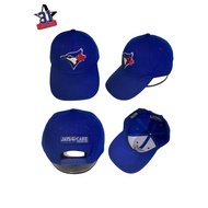 Blue jays hat