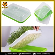 Microgreens Sprouter Tray Hydroponic Sprouting Tray Horticultural Hydroponic Systems Tray Garden
