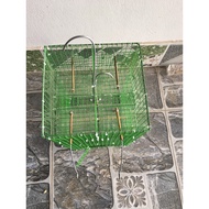 Automatic bird trap
