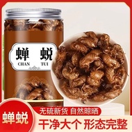 Straw Straw herbal medicine cicada shed cicada skin 6 0g cicada Chinese herbal Medicinal Materials C