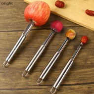 [ceight] Fruit Corer Stainless Steel Home Tool for Red Dates Pear,  Cool Kitchen Gadget TH