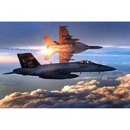 FA E Super Hornet Photo Photograph Airplane Aircraft Fighter Jet Plane Cool Wall Decor Art Print Pos