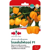 Yellow Habanero Chili Seeds Golden Fire Red Arrow Seal