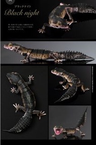 全新 Bandai 扭蛋 The Diversity of Life on Earth ADVANCE LEOPARD GECKO 大圖鑑 變種 豹紋 壁虎 爬蟲類 可動 守宮 四腳蛇.Black n