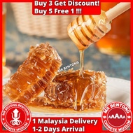 MR BENTONG HONEY Madu Asli Hutan Premium Pure Honey 野蜜蜂蜜 Tualang Kelulut Royale Jelly Sarang Lebah L