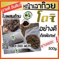 **สิ น ค้ า ข า ย ดี H o t !! หญ้าเฉาก๊วยแท้ โดจิ ใบเฉาก๊วยผสมก้าน ห่อ 500g. เกรดเอ ยางดี ทำเฉาก๊วยเ