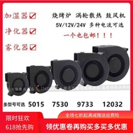 12V 5V 24V Turbo Blower USB Barbecue Grill Car Humidification Centrifugal Fan 5015 7530 9733