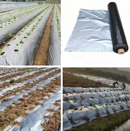 High Quality Plastic Mulch Film (2ft x 400m x .33microns - 1Roll) and from Taiwan