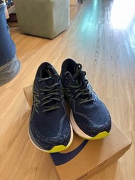 ASICS Kayano 29 size46