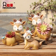 Decorative wine - growing beautiful miniatures - Decorative items