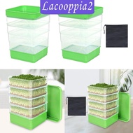 [Lacooppia2] Seed Kits Multipurpose Microgreens Growing Tray Mini Plant Grow Tray for Grass Beans Broccoli Alfalfa Seeds Wheat