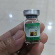 Gentamin Obat Ayam Gentamin Injeksi Obat Ayam Sakit Gentamin Suntik
