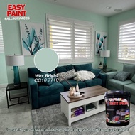 EASY PAINT (COLOUR: WEX BRIGHT, CODE: CC10 7710) 1L & 5L