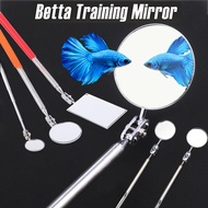 Betta Fish Training Toy Mirror Betta Fish Wooden Stick Exercise Mirror for Aquarium