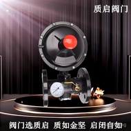 Liquefied Gas Boiler Pressure Regulating Valve Pressure Regulator Pressure Reducing Valve DN50-80Qua