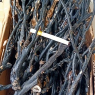 bahan akar bahar hitam lentur