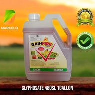 RAINFIRE Glyphosate 480SL WEED KILLER 1 Gallon