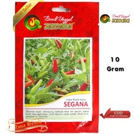 Seeds 🌿 Benih cabe rawit hijau SEGANA 10gram - bibit cabe