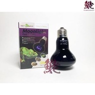 REPTI ZOO - REPTIZOO 夜間加熱燈 50W
