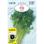花田綠地種子-芹菜