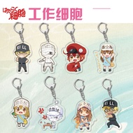 Cells At Work - Hataraku Saibou Anime Acrylic Pendant Keychains